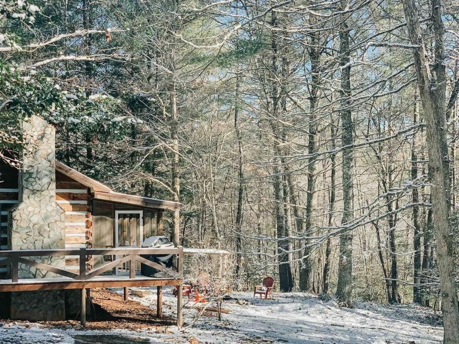 Willa Hot Tub, Porch Swing Bed, Fire Pit, Aska Adventure Blue Ridge Zewnętrze zdjęcie